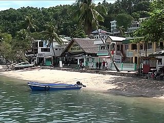 बक जंगली Sabang Beach Puerto Galera फिलीपींस दिखाता है