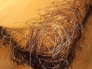 my wife's hairy pussy plus clitoris
