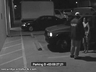 Parking Lot Behave oneself Caught Overwrought A Security Camera